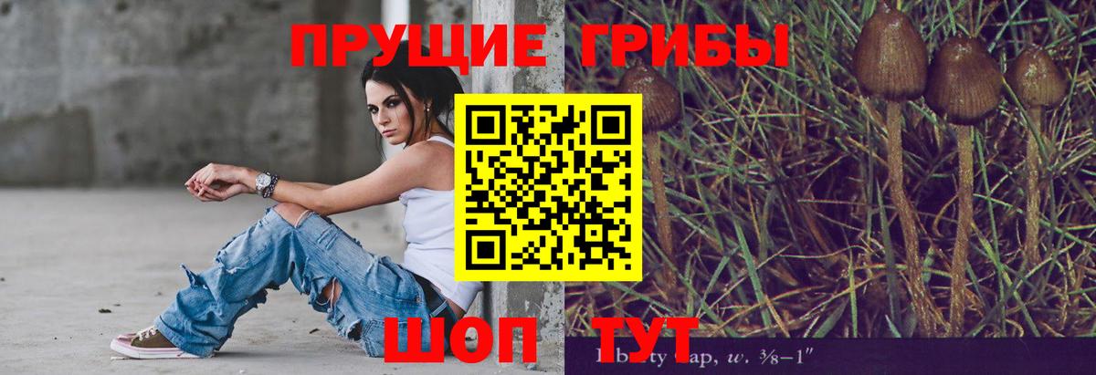 Галлюциногенные грибы Magic Shrooms Гулькевичи